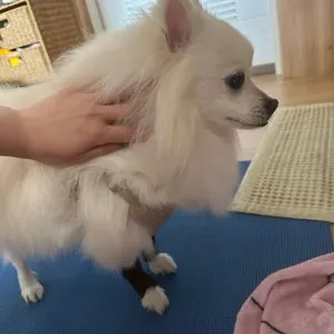 베스트 후기 이미지