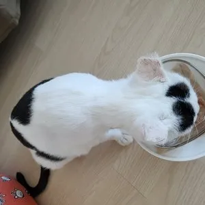 베스트 후기 이미지