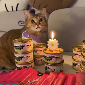 베스트 후기 이미지