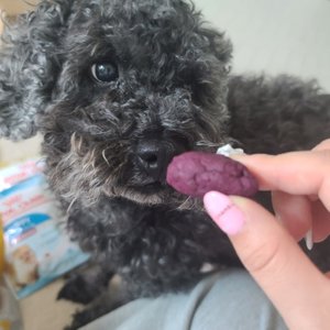 베스트 후기 이미지
