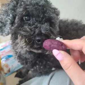 베스트 후기 이미지