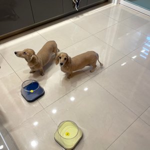 베스트 후기 이미지