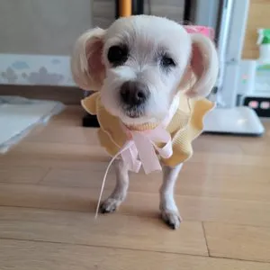 베스트 후기 이미지