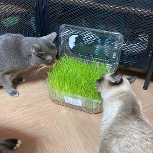베스트 후기 이미지