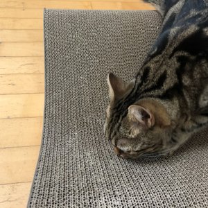 베스트 후기 이미지
