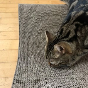 펫톤 빅사이즈 소파 스크래쳐 베이지 베스트 후기 이미지