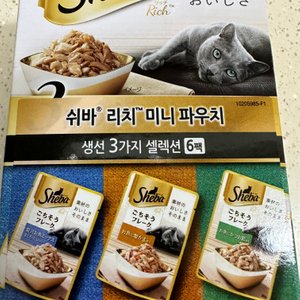베스트 후기 이미지