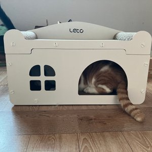 베스트 후기 이미지