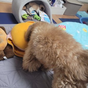 베스트 후기 이미지