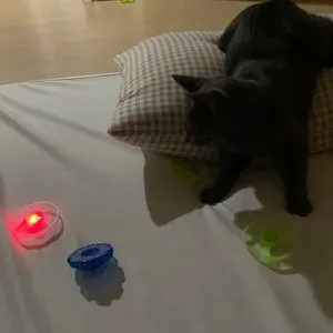 베스트 후기 이미지