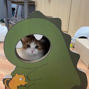 베스트 후기 이미지