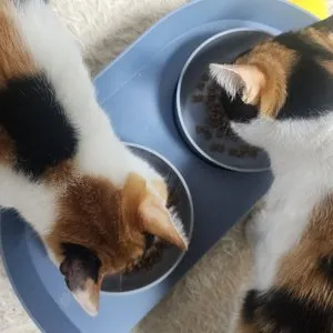 베스트 후기 이미지