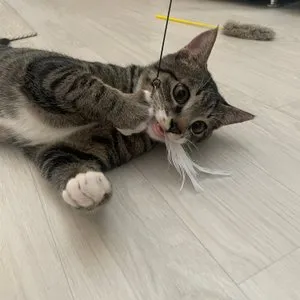 베스트 후기 이미지