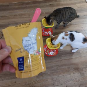 베스트 후기 이미지