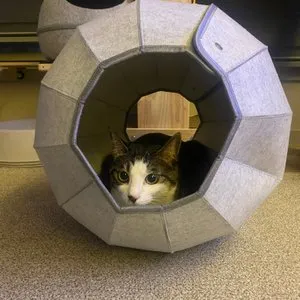 베스트 후기 이미지