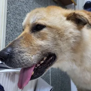 베스트 후기 이미지