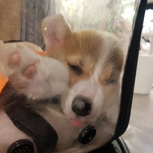 베스트 후기 이미지