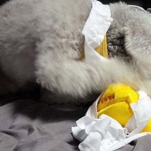 베스트 후기 이미지