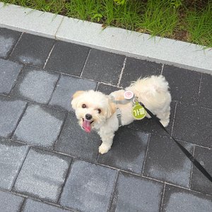베스트 후기 이미지