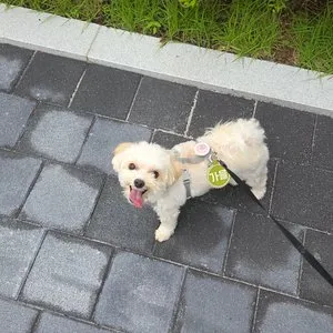 베스트 후기 이미지