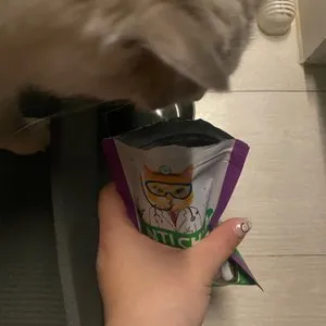 베스트 후기 이미지