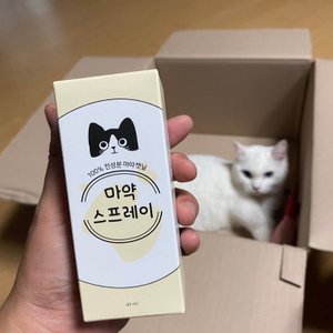 베스트 후기 이미지