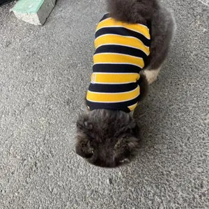 베스트 후기 이미지