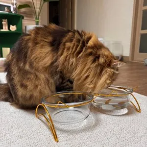 베스트 후기 이미지