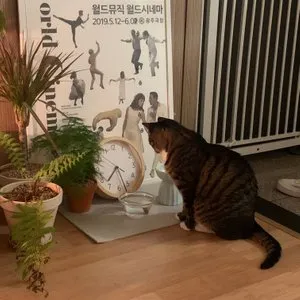 베스트 후기 이미지