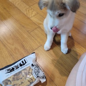 베스트 후기 이미지