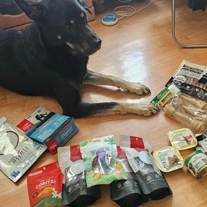 베트랑 내츄럴껌 7inch 베스트 후기 이미지