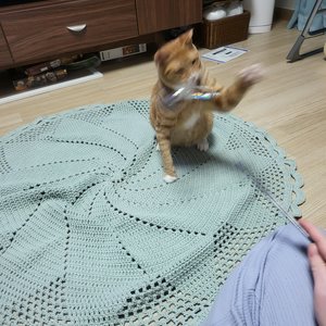 베스트 후기 이미지