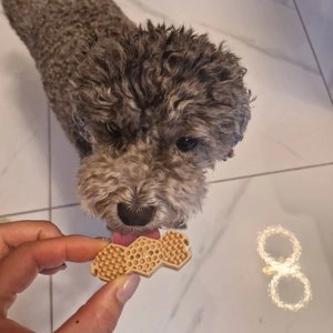 [1+1] 닥터페트라 펫즐 허니콤 오리지널 9g*12p 베스트 후기 이미지