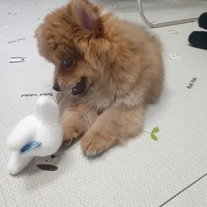 베스트 후기 이미지