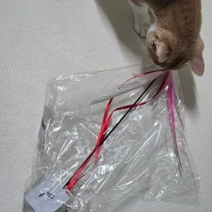 베스트 후기 이미지