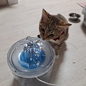 베스트 후기 이미지