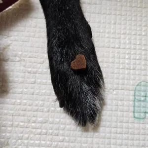 베스트 후기 이미지