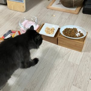 베스트 후기 이미지