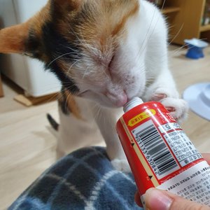 베스트 후기 이미지