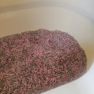 베스트 후기 이미지