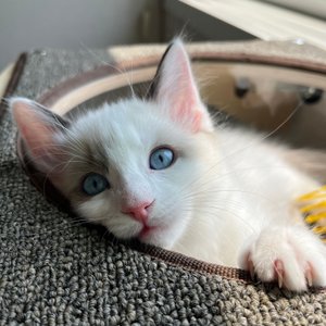 베스트 후기 이미지