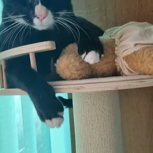 베스트 후기 이미지