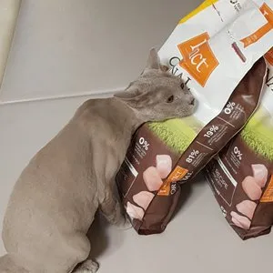 베스트 후기 이미지