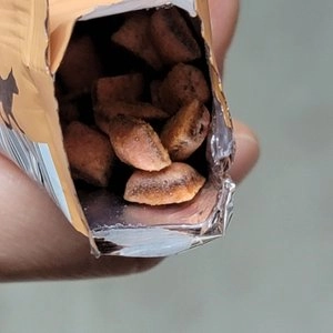 더캣츠 쿠키샌드 새우&연어맛 20g 베스트 후기 이미지