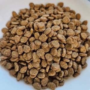 [창고대방출] 오리젠 캣 키튼 340g 베스트 후기 이미지