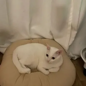 베스트 후기 이미지