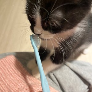베스트 후기 이미지