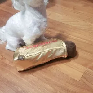 베스트 후기 이미지