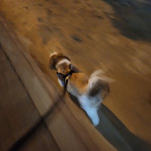 베스트 후기 이미지