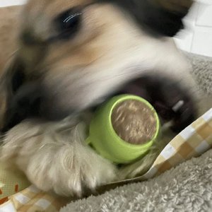 베스트 후기 이미지